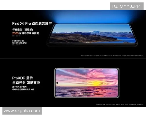 mksport官方网站平台全方位解析与用户体验分享