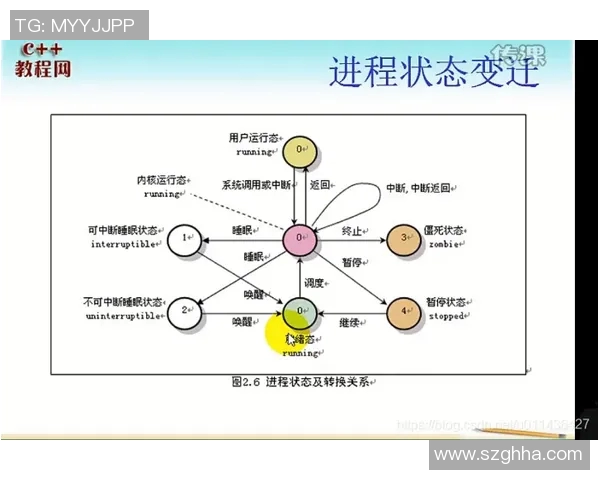 贝林厄姆触球分布变化分析及其对比赛影响的深度探讨