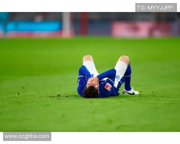 沙尔克04状况堪忧,德甲遭遇连败困境难抉择 沙尔克04状况堪忧,德甲遭遇连败困境难抉择