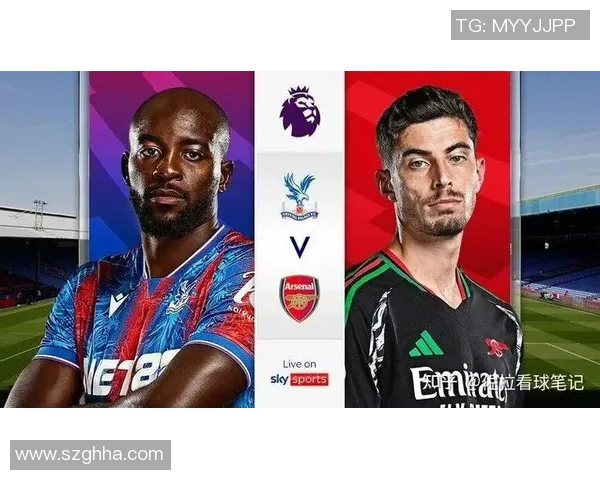 沙尔克04主场力克法兰克福，紧追领头羊步伐